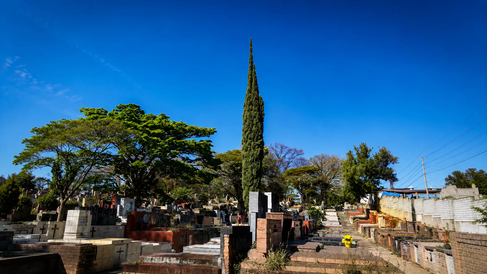 Cemitério da Lapa